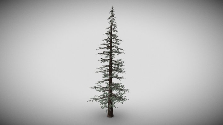 Stylized Tree 3D Model