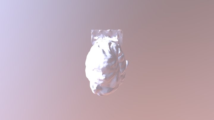 Protomi3 3D Model