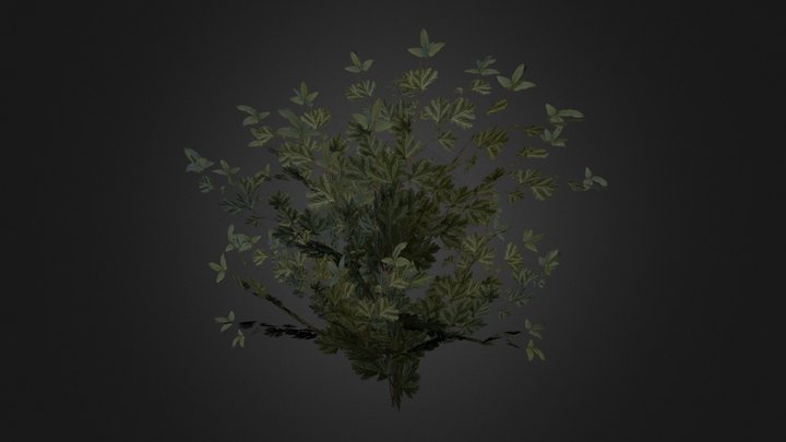 Bush 3D Model