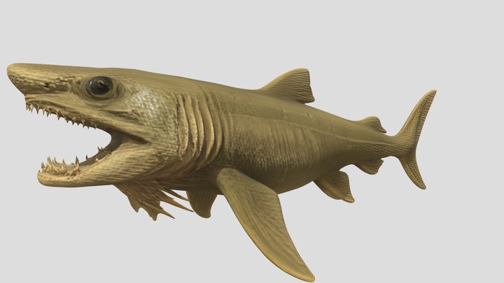 frilled shark [ai]