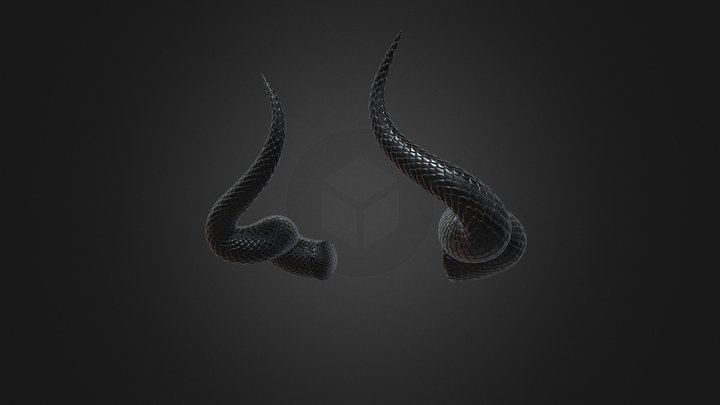 Horns04.1 – Modello 3D gratuito STL