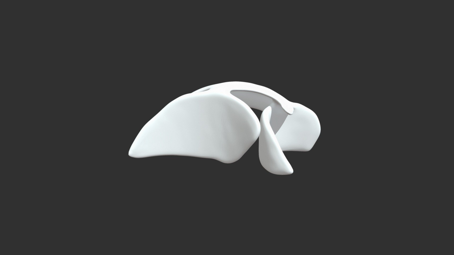 Houseago inspired model