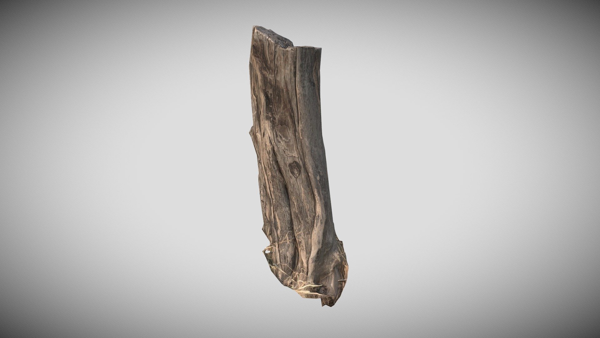 old long stump scanned in natural environment - 3D model by canopus99 ...