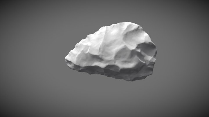 Untitled (silex) 3D Model