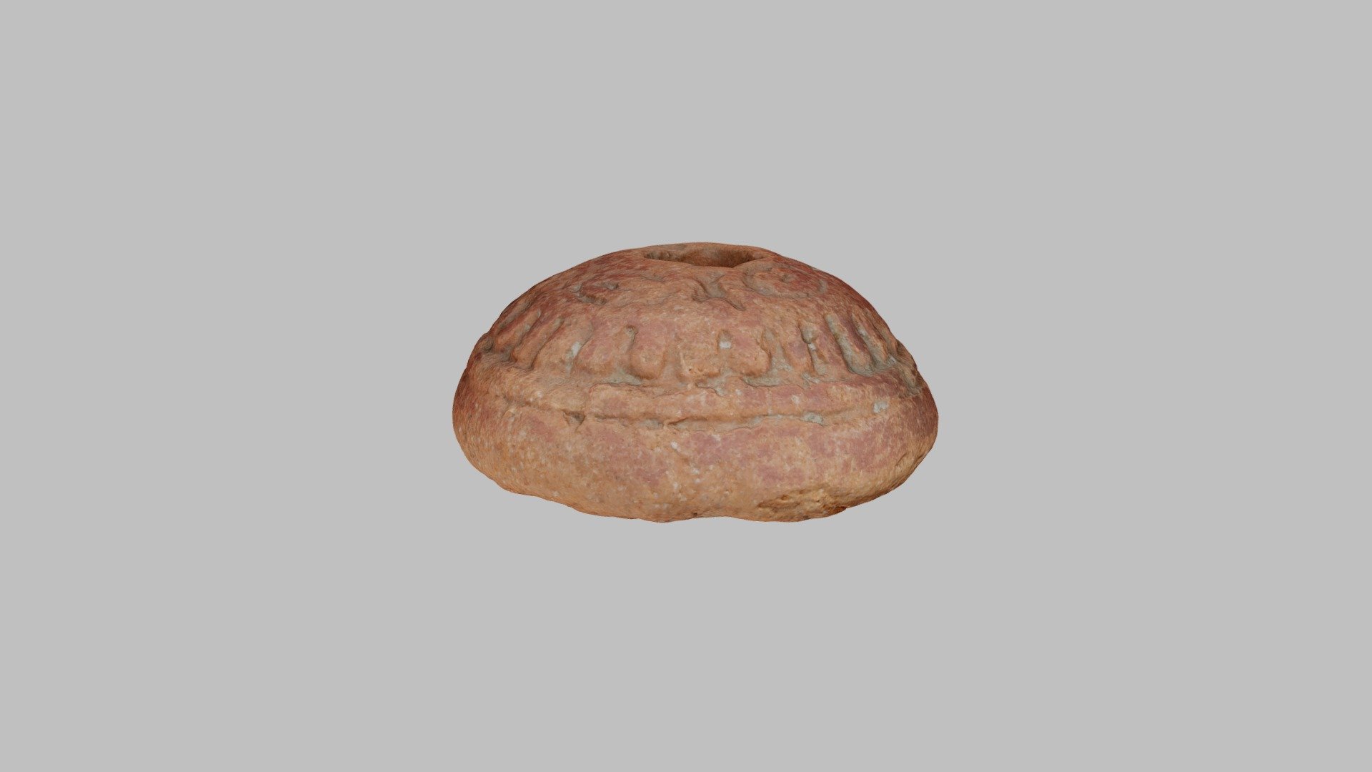 YPM ANT.135936