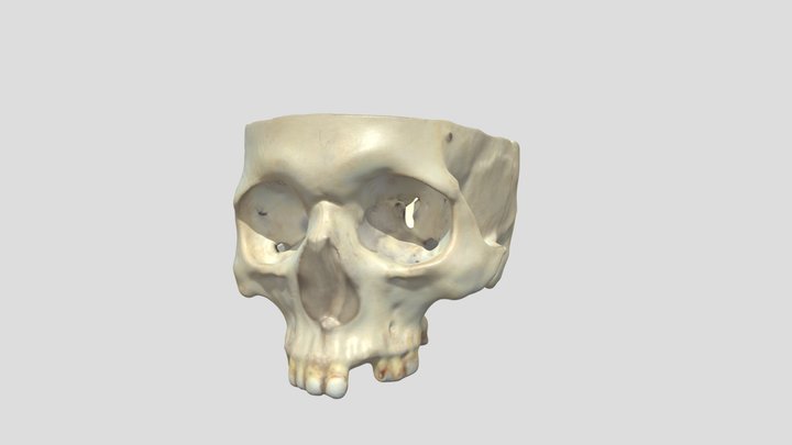 Project1_1 3D Model