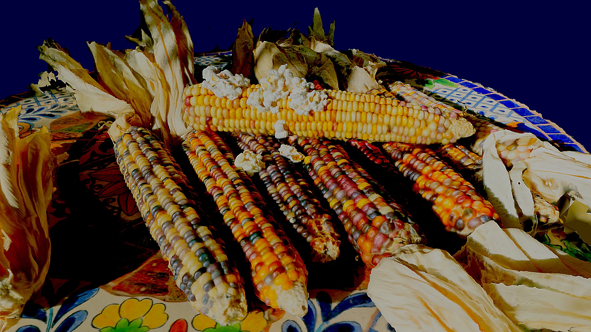 3D model Flint Corn with some Popped - This is a 3D model of the Flint Corn with some Popped. The 3D model is about a group of corn.
