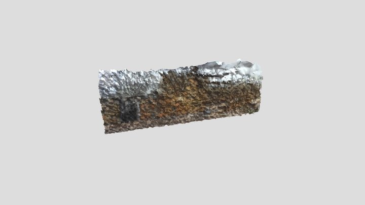 MURO 3D Model