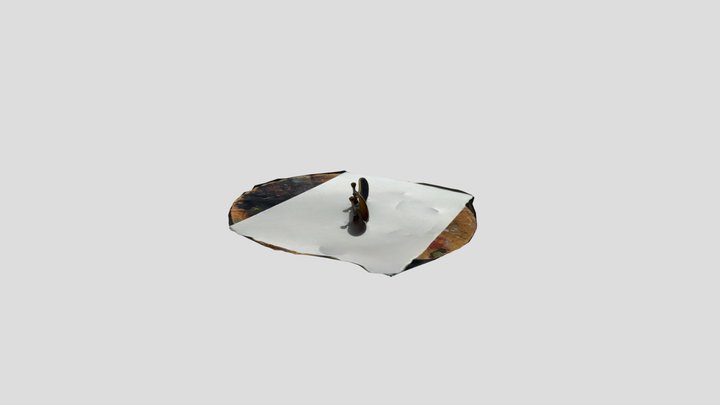 henar skate 3D Model