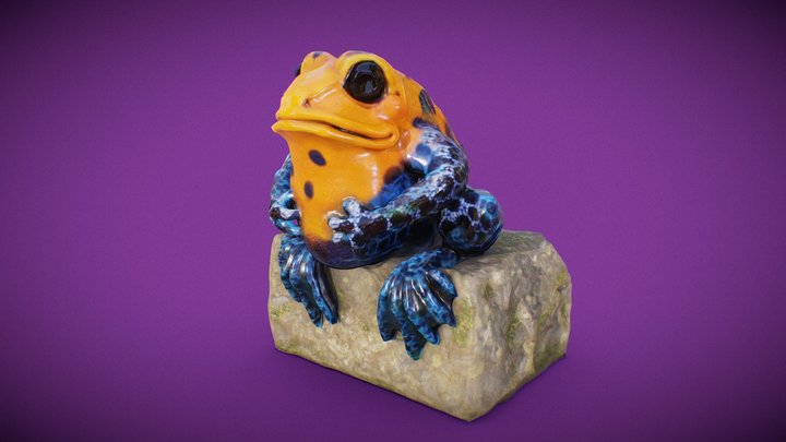 Chimera house frog 3D Model