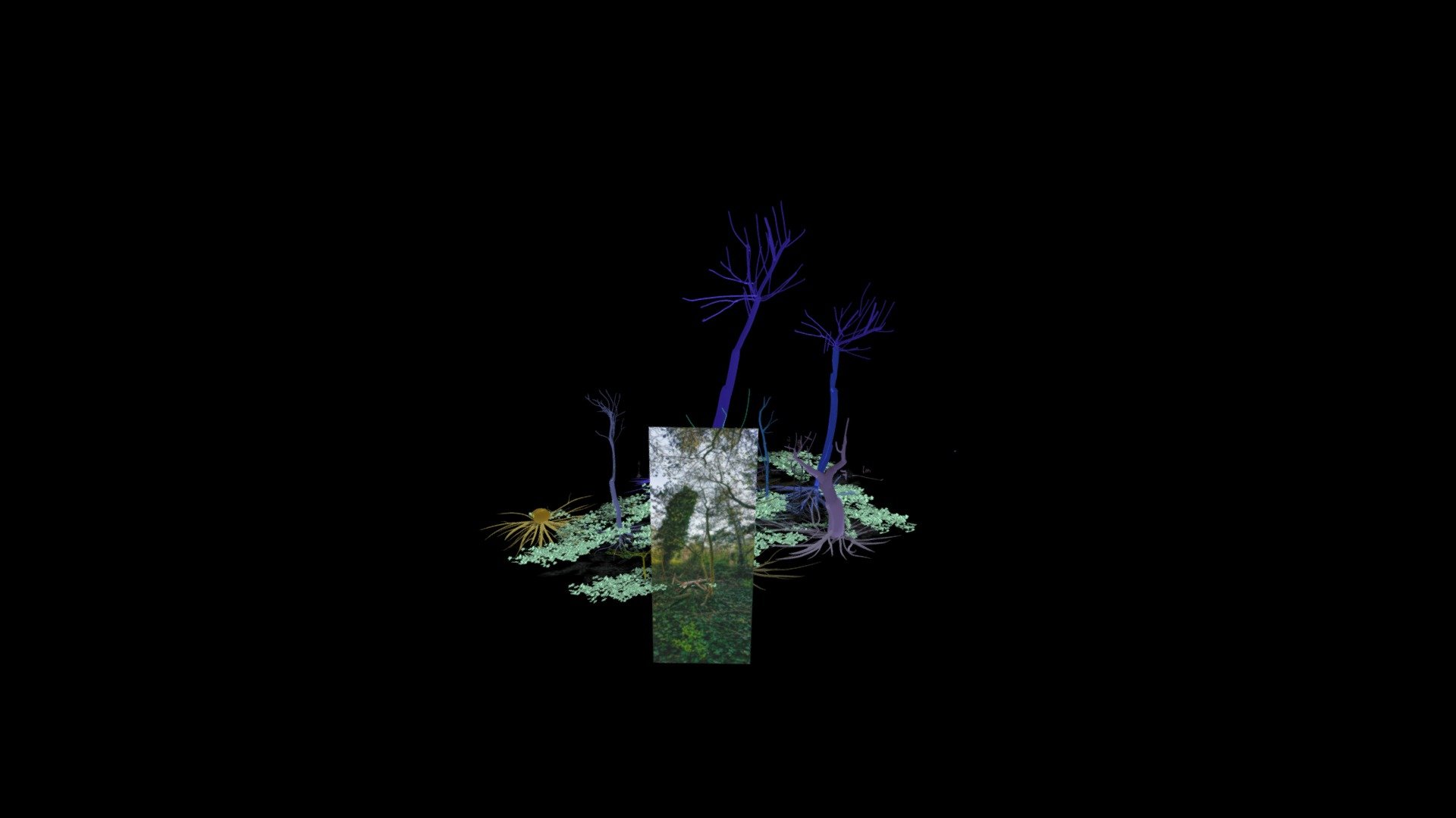 Virtual forest process