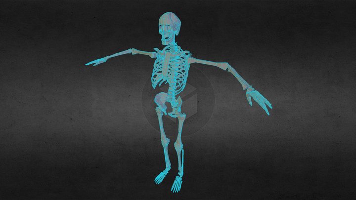 Low Poly Skeleton 3D Model