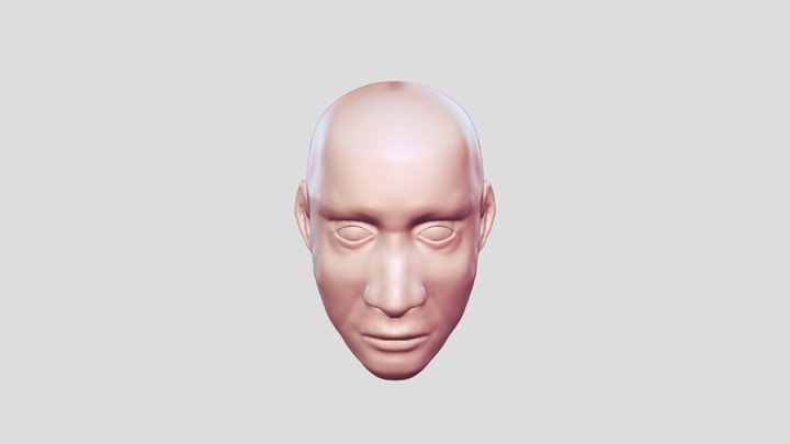 Face anatomy practice no. 3 3D Model