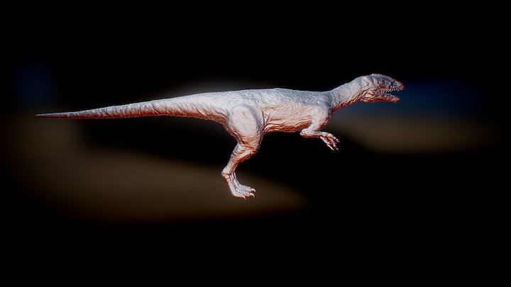 basic dina 3D Model