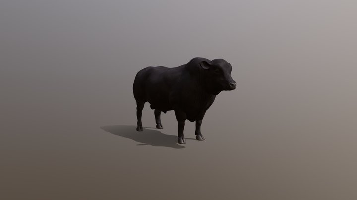 ANGUS_IDLE 3D Model