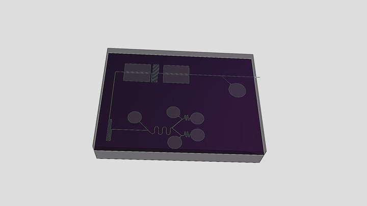 NDS3 CHIP ASSEMBLY 3D Model