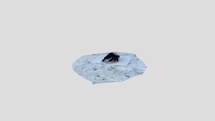 Polycam capture 3D Model