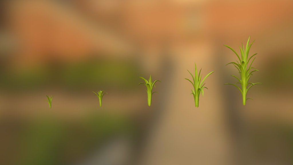 Grass variations - 3D model by AppelKaneel [5d195c8] - Sketchfab