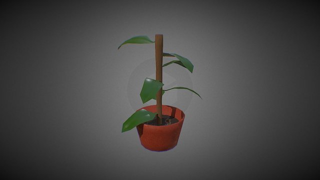 Plant A - V2 3D Model