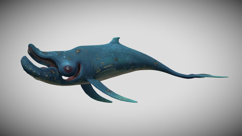 HSW Blue Whale