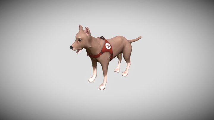 Handpainted Rescue Dog - Gerald 3D Model
