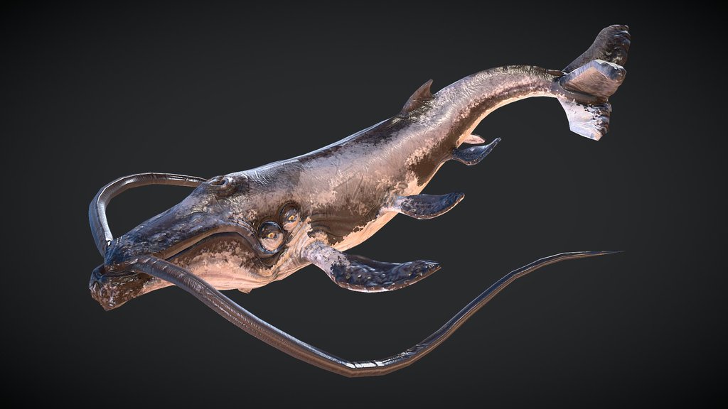 Whisker Whale