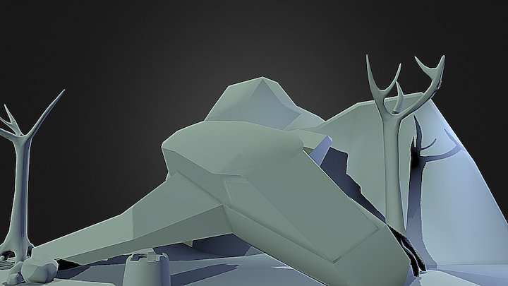 Trash Ship 3D Model