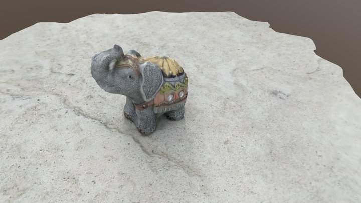 Elephant test 3D Model