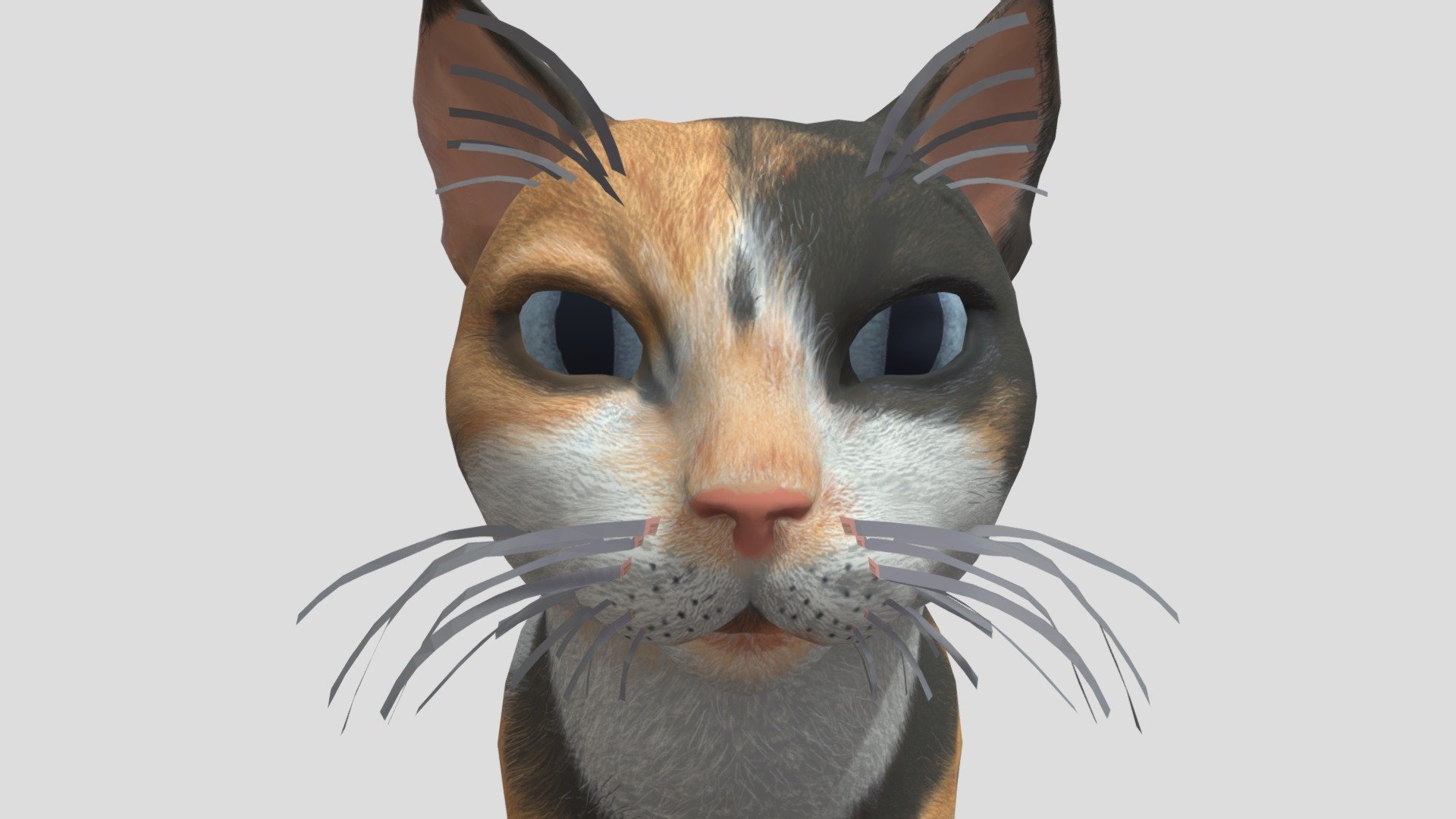 Calico Cami - Download Free 3D model by theamazingdonovan207 [5d2e263 ...