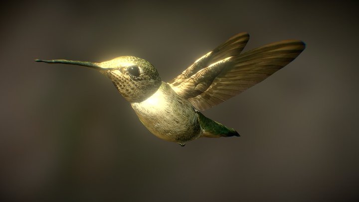 Smoothie-3D upload 3D Model