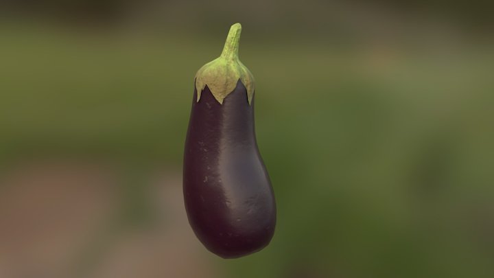 Eggplant - Material Study 3D Model