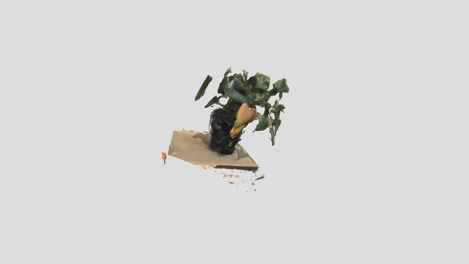 plant-export2 — Sketchfab embed 3D viewer