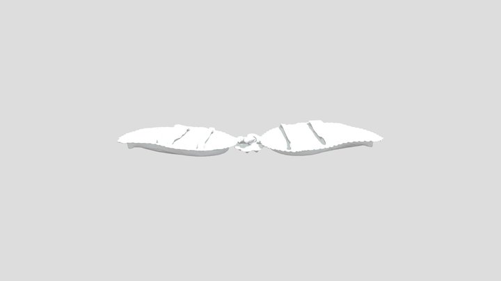 735 3D Model