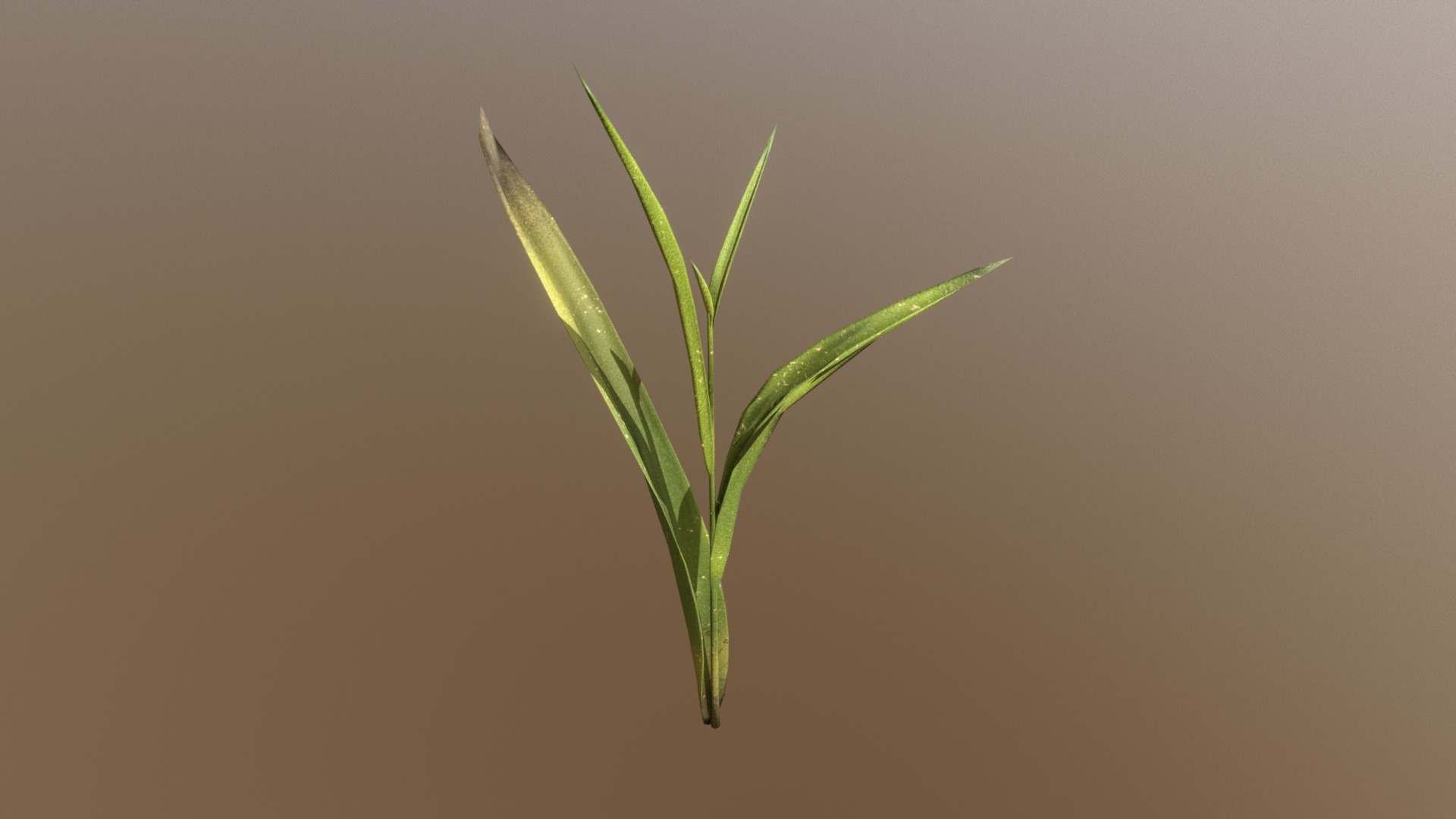 3D model Grass III - This is a 3D model of the Grass III. The 3D model is about a close up of a plant.
