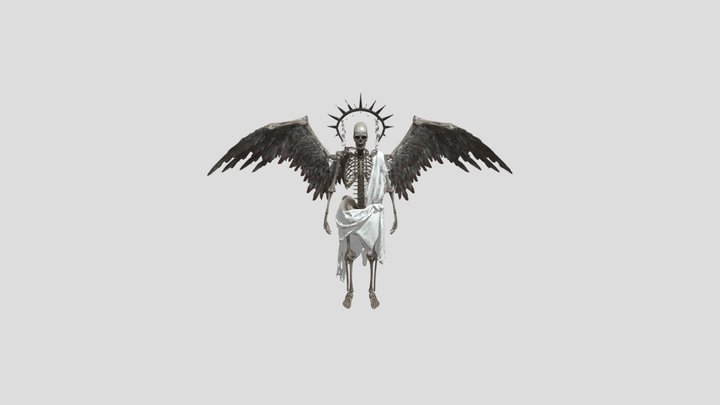 The Winged Guardian