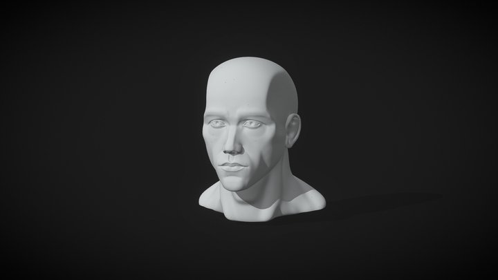 Simple Head Sculp 3D Model