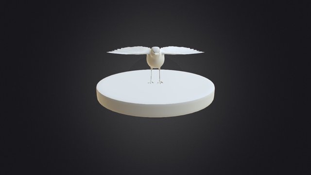 Zwin Museum - Roodborstje 3D Model