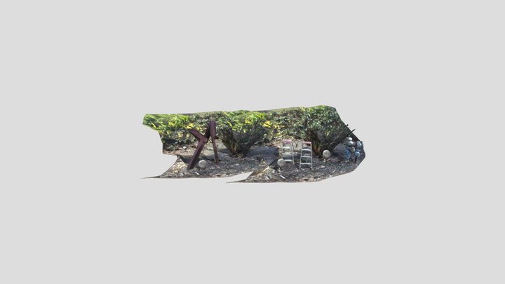 Photogrammetry 3D Model