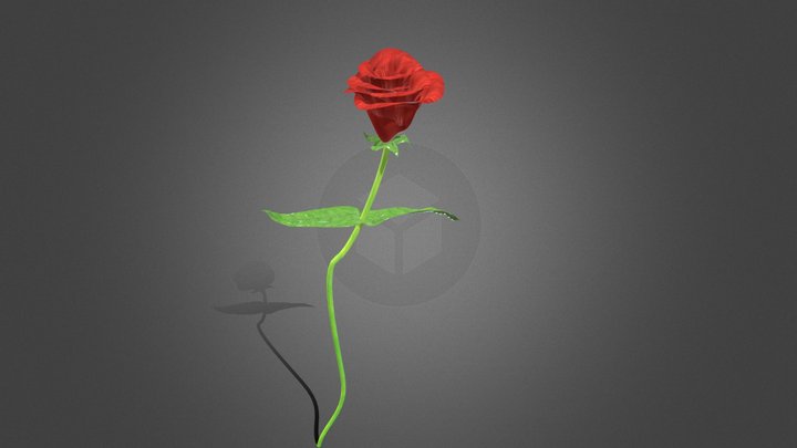 Rose 3D Model