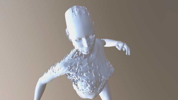 T1 3D Model