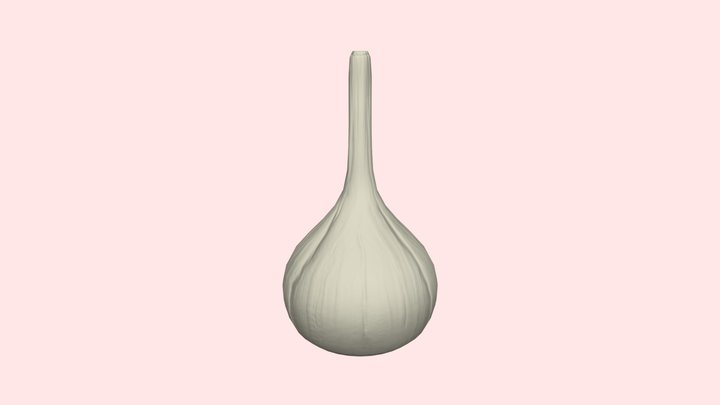 Garlic LP 3D Model