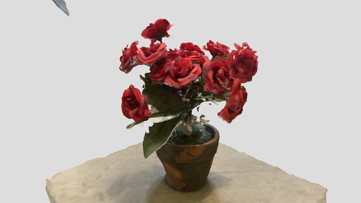 Flowers 3D Model