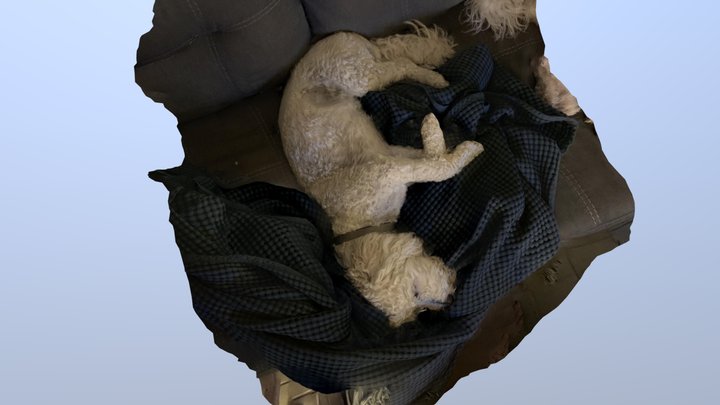 Sleeping Puppy Test 2 3D Model