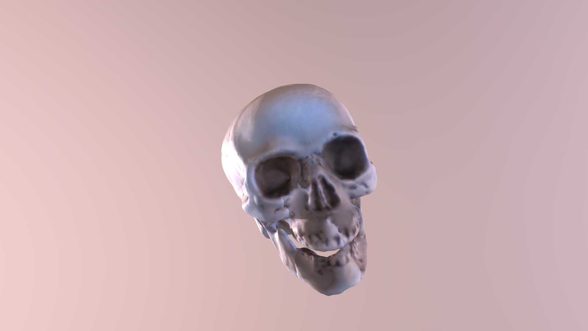 Skull (Camera 3D)