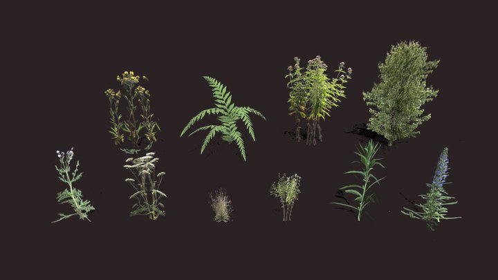 Small Plants pack 3D Model