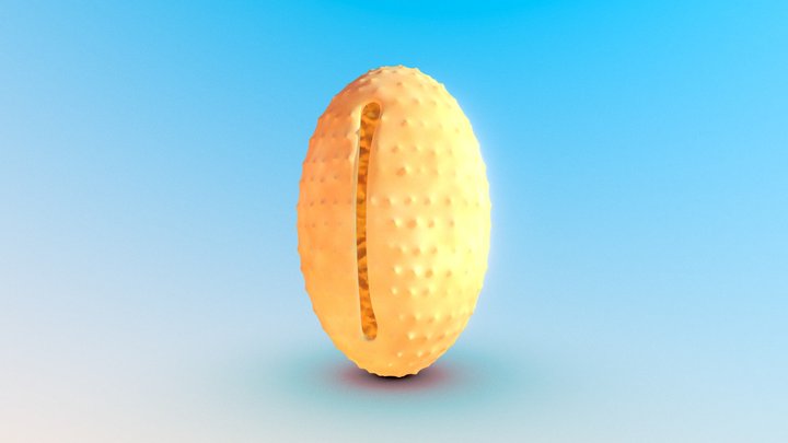 Aquilegia Pollen Grain 3D Model