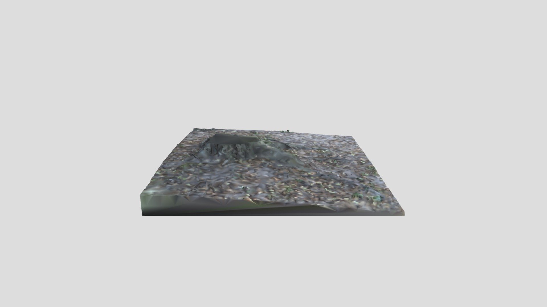 Forest Root Floor