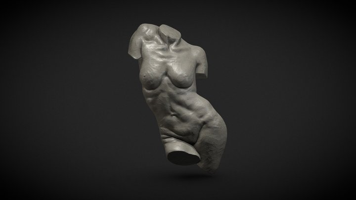 Mitch Shea Inspired Torso Sculpt 3D Model