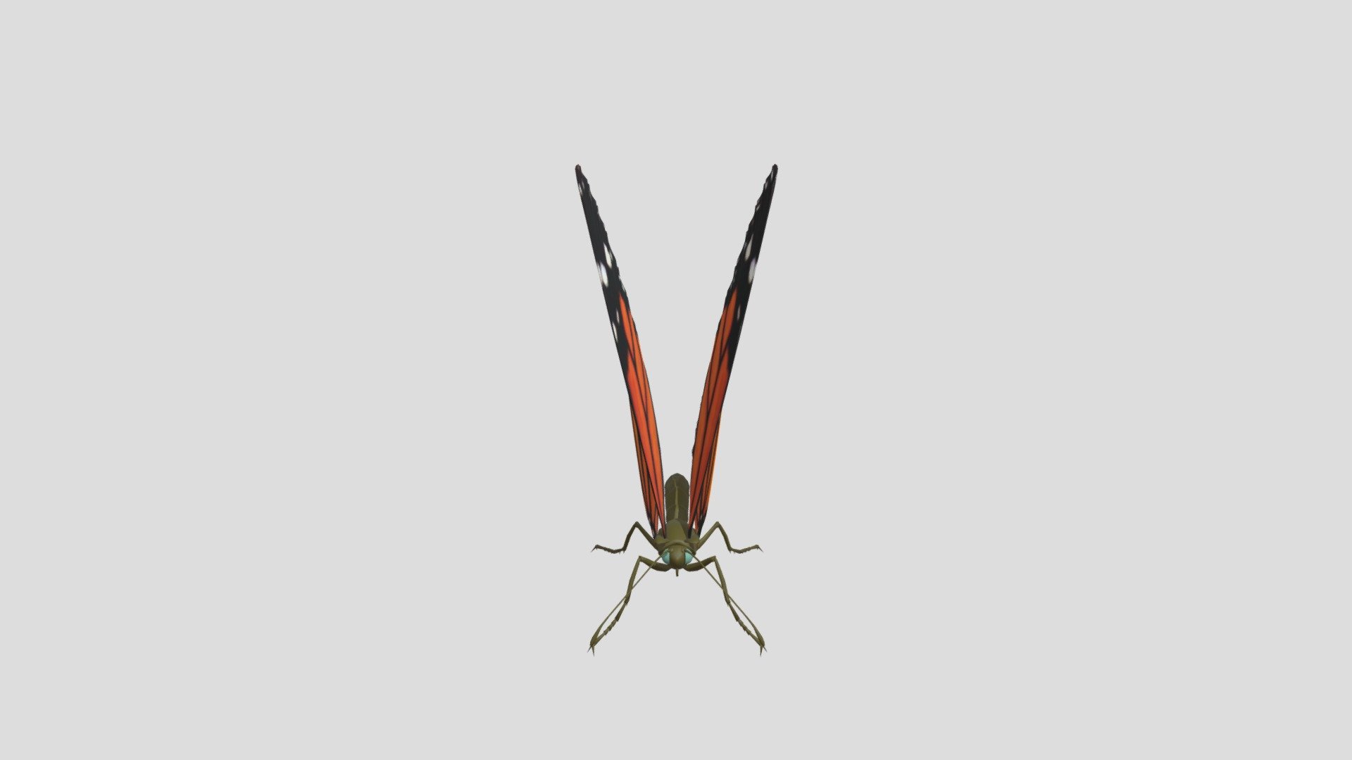 MARIPOSA 02