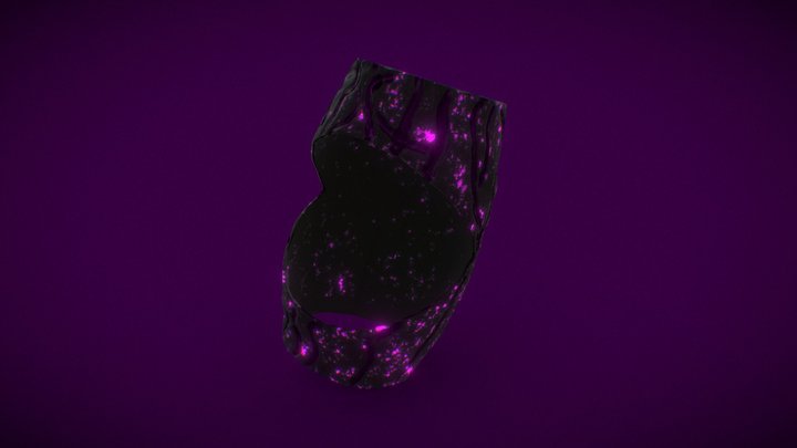 Blackwood Purple | Design Barrel 3D Model